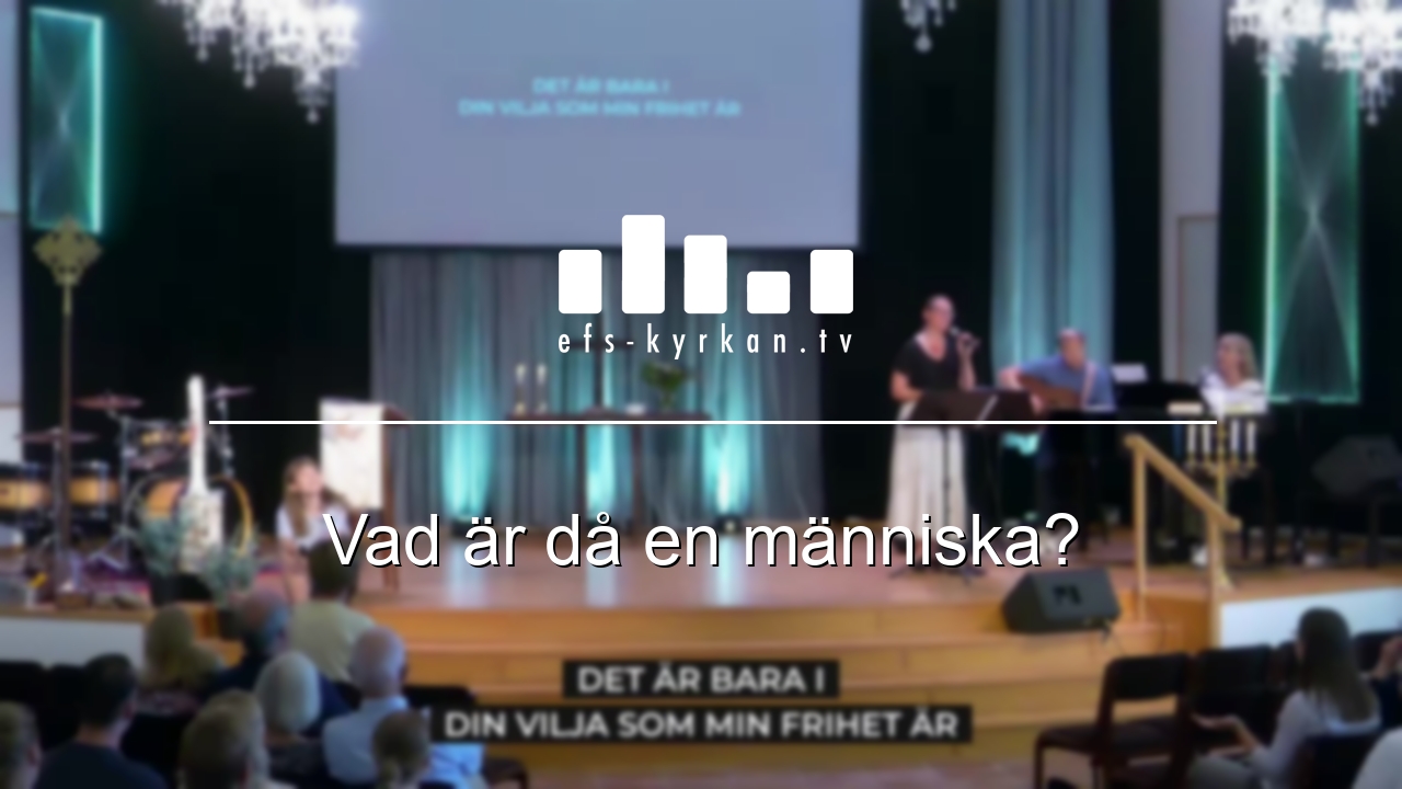 Vad är då en människa?