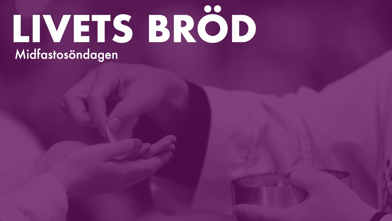 Livets bröd